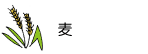 麦