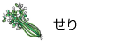 せり