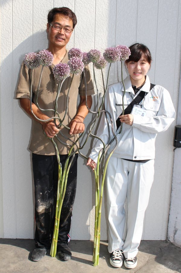 トピックス 独特のラインと迫力が魅力 アリウム 昇龍 Ja熊本市